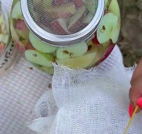 Банка закрыта крышкой-ситечком и марлей